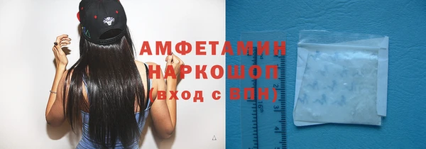 сатива Абаза