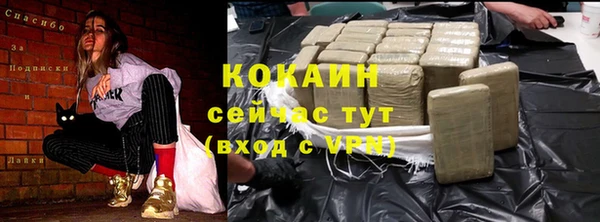 сатива Абаза