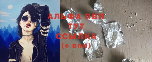 сатива Абаза
