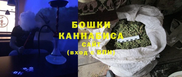индика Абдулино