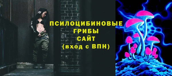 индика Абдулино