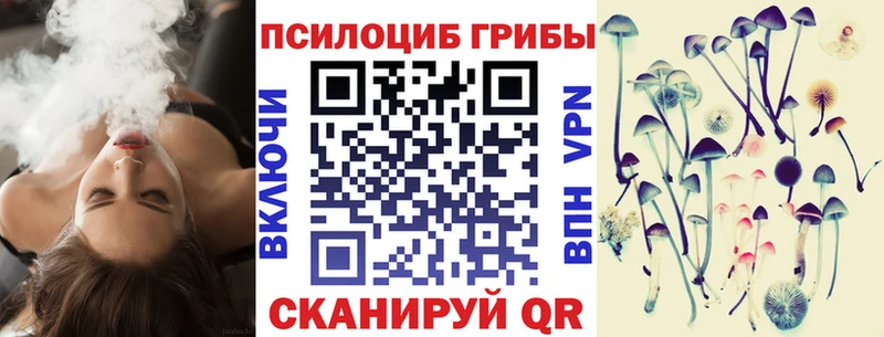 купить наркотики сайты  Алейск  Галлюциногенные грибы мухоморы 